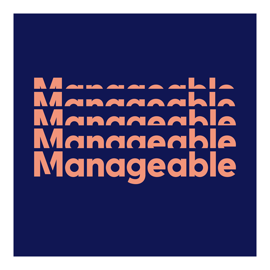 B!G Mentor Offer – Manageable