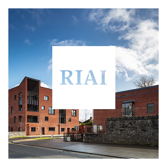 B!G Award Partner – RIAI