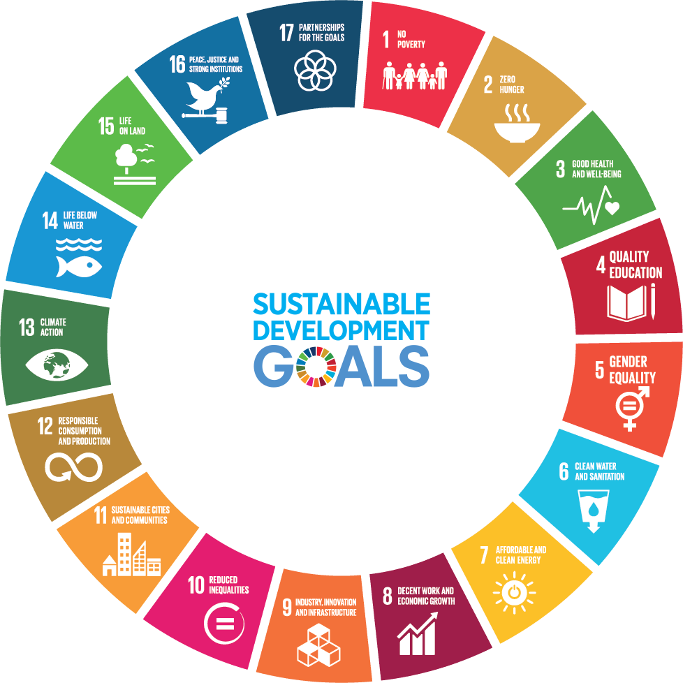 The United Nations Sustainable Development Goals (SDGs)