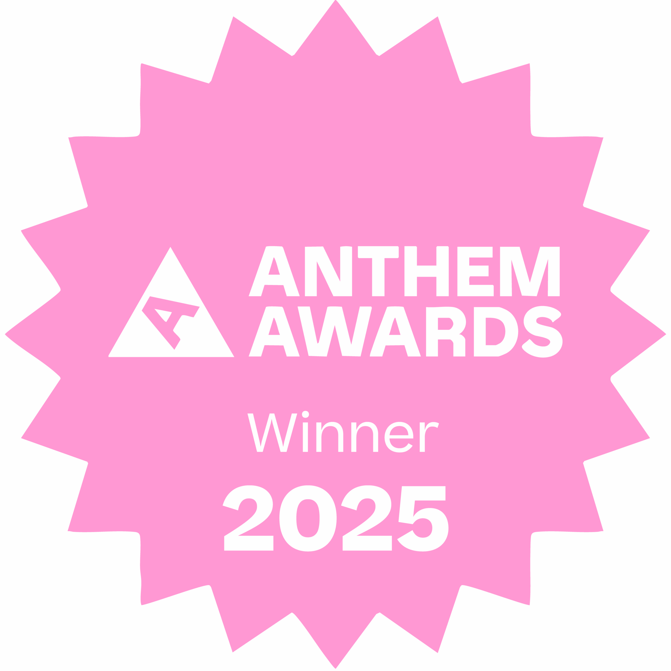 Anthem Awards 2025 Silver Winner